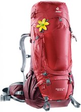Походный рюкзак Deuter Aircontact Pro 55 + 15 SL (Cranberry/Aubergine) - Фото 1